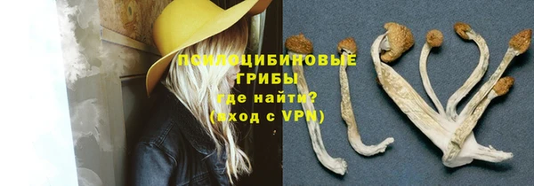 сатива Алексеевка