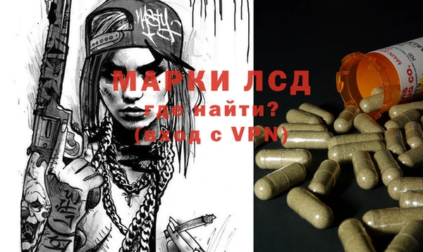 спайс Алзамай