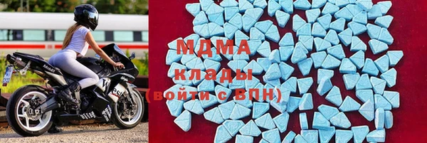 СК Алексин