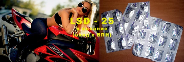 спайс Алзамай